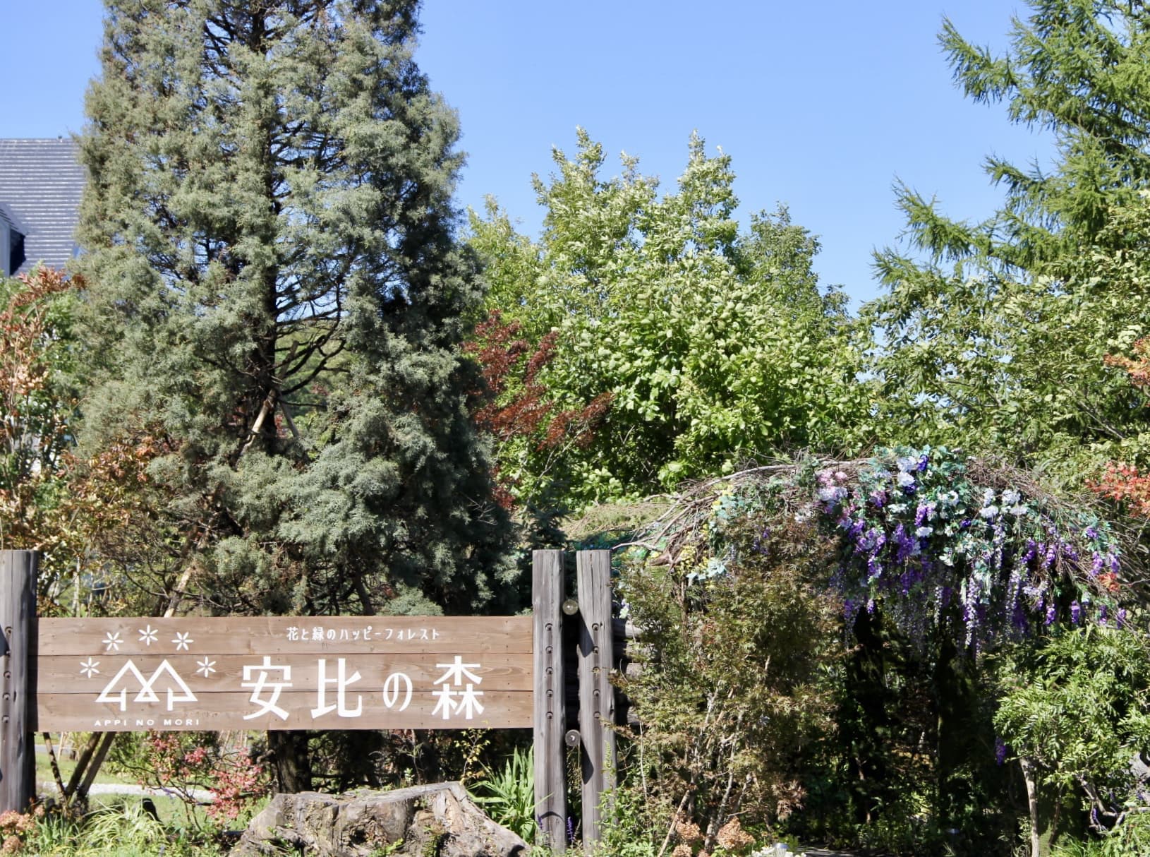 安比の森
