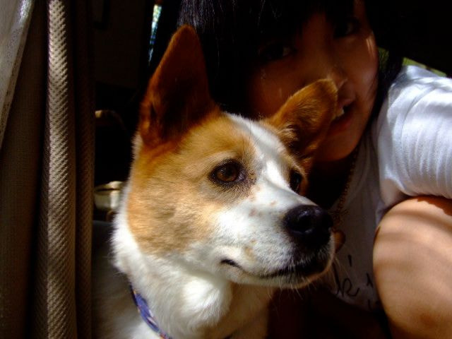 いまは亡きちくわ